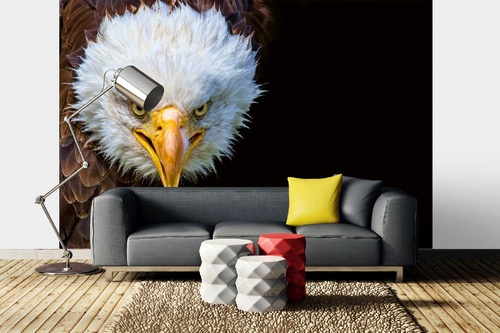 Vlies Fototapete - Amerikanischer Adler 375 x 250 cm